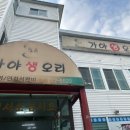 가야생오리 이미지