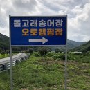 돌고래오토캠핑장 이미지