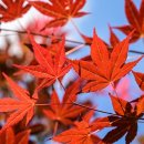 나무고아원입구 이미지