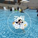 GS25 영월동강점 | 강원도 영월 탑스텐 동강시스타 수영장 이용후기