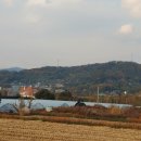 강남로(남) 이미지