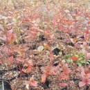 대열농장 이미지