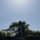 제주여행문화 | [제주] 제주 동쪽 여행코스 데이지 꽃밭 제주돌문화공원 방문 후기