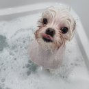 (주)가온메디 이미지