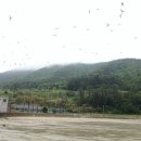 솔바람민박 이미지
