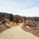 양평공설공원묘지 이미지