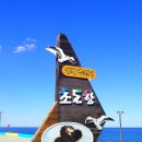 초도항 성게조형물 이미지