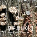 한라산특산품