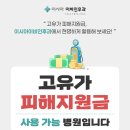 이시아이비인후과