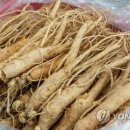 증평농협하나로마트 이미지