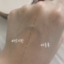 주식회사 핑크쥬코리아 | 샵한현재 프렙선쿠션 - 자외선차단과 베이스를 한번에, 여름 썬쿠션 추천 (속건조 예민피부 솔직사용후기)