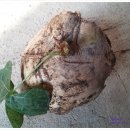 재열농장 이미지