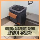O.K 동물병원 | 고양이 유모차 끌고 가뿐하게 병원 다녀왔어요 (f.로얄테일즈)