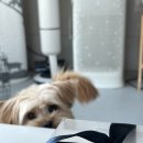 사림동121 | [창원/사림동] 브런치/다저트 카페 "윤마드레" 2호점 딸기 케이크 후기🍰