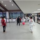 고려체대태권도 이미지