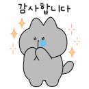 써밋렌터카