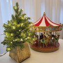 세이메디칼 이미지