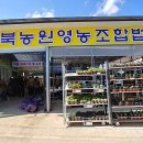 법인과일나무