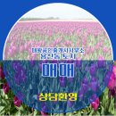 대왕공인중개사사무소 이미지