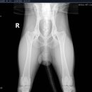 서울종합동물병원방배 이미지