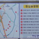천일농장 이미지
