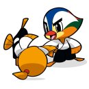 금강합기도 이미지