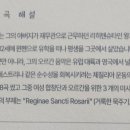 쁠레나 이미지
