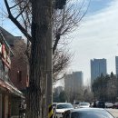 용산-40 | 신용산 먼치 파스타 / 해이 커피 앤 바 / 테디뵈르하우스
