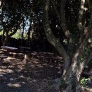 신풍리 사무소 이미지