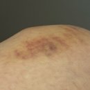 서울성모항정유외과의원 이미지