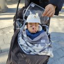 대공원 동물병원 | 서울대공원 동물원 방문 후기(21개월 아기)