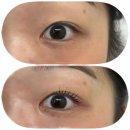 GO PC 방 | [대전 신흥동 속눈썹] 쑤쑤아이래쉬