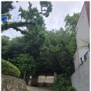 거목상사 | 서울 한옥카페 추천, 깅꼬서울 방문 후기