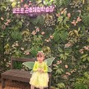 가평곤충농장 이미지