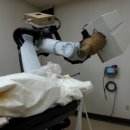 영국동물병원 이미지