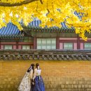 (주)여행투데이 이미지