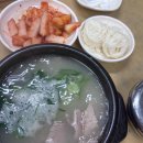 배꽃길 41 이미지