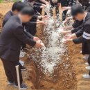 천길상조 이미지