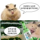 일월카페