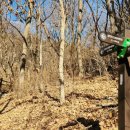 진밭골산림욕장 이미지