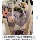 [연신내 꽃집 예하플라워] 보라수국 혼합 다발