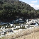 수승대 오토캠핑장 이미지