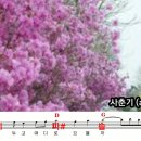 2026.4.22일 사춘기 (alto)익히기 이미지