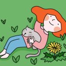 매일상회 이미지