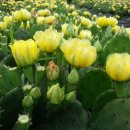 성호농장2 이미지