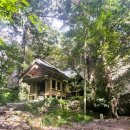 대성동고분박물관 이미지