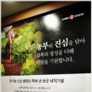 삼복밤상회 | 대구이곡동맛집 삼복상회내에서 대패삼겹살