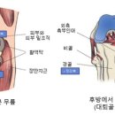엠케이한방병원 이미지