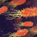 아이건강 이미지