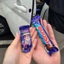 (주)청나 | 시드니블루마운틴 마이리얼트립 호주무한투어 선셋별보기 내돈내산 찐만족후기